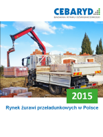 Raport: Rynek żurawi przeładunkowych w Polsce 2015