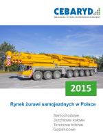 Raport: Rynek żurawi samojezdnych w Polsce 2015